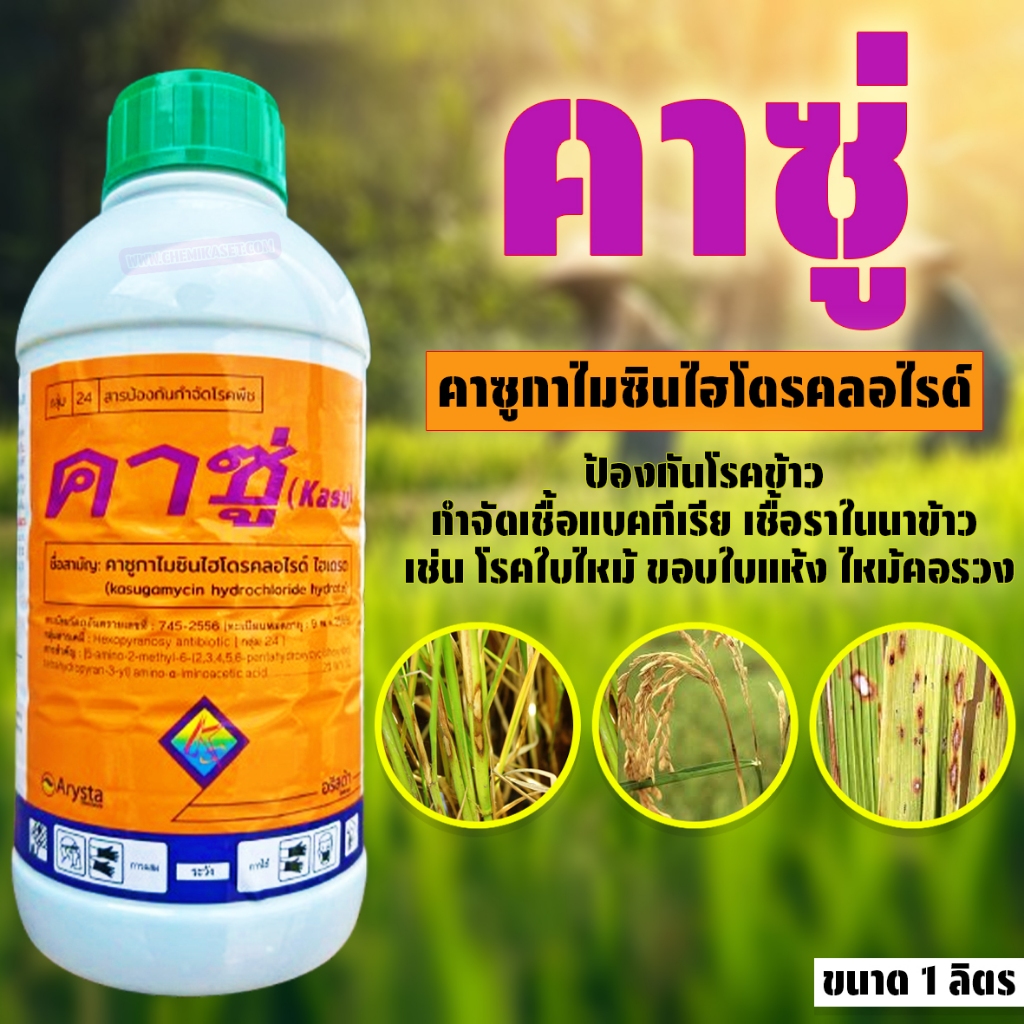 คาซู่ ขนาด 1 ลิตร คาซูกาไมซิน ป้องกันกำจัดโรคราและแบคทีเรีย โรคใบไหม้ ขอบใบแห้ง ไหม้คอรวง ในนาข้าว