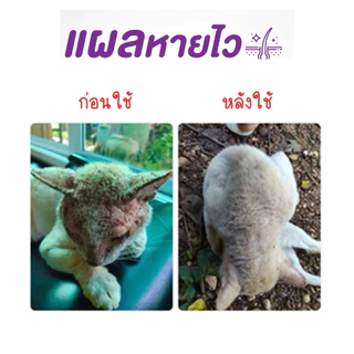 PitPat(หมอไทยทำเอง) บาล์มนาโน แผลแห้งไว Nano Balm ครีมทาแผล สัตว์เลี้ยงทุกชนิด แผลสด ฆ่าเชื้อแบคทีเรีย ลดอักเสบ บาล์มสมุ