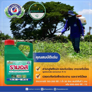 รามอส (Ramos) ขนาด 4ลิตร สารป้องกันกำจัดวัชพืช (1ลังX6 แกลลอน) By พูนณรงค์