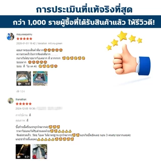 รับประกัน 50ปี- เต็นท์กางอัตโนมัติ 6-8 คน เต็นท์สนาม เต้นท์แคมปิ้ง เต๊นท์ตาข่ายป้องกันแมลง พับได้ กันฝน