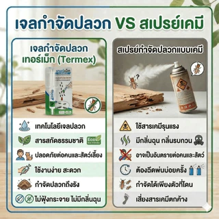 TERMEX เจลกำจัดปลวก สารธรรมชาติ ไม่มีสารตกค้าง