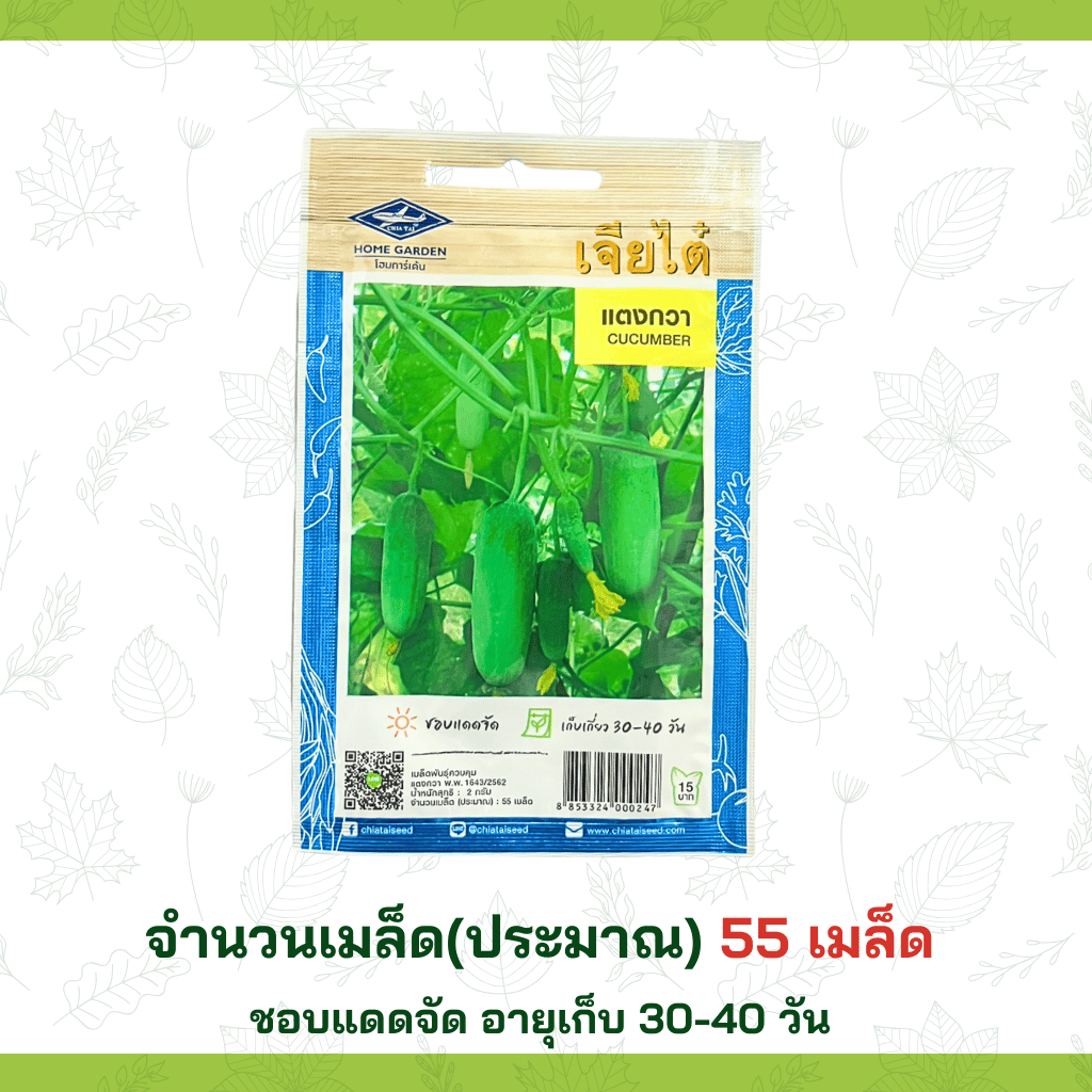 เมล็ดแตงกวา Chia Tai เมล็ดพันธุ์คุณภาพ ปลูกสวนครัว