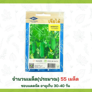 เมล็ดแตงกวา Chia Tai เมล็ดพันธุ์คุณภาพ ปลูกสวนครัว