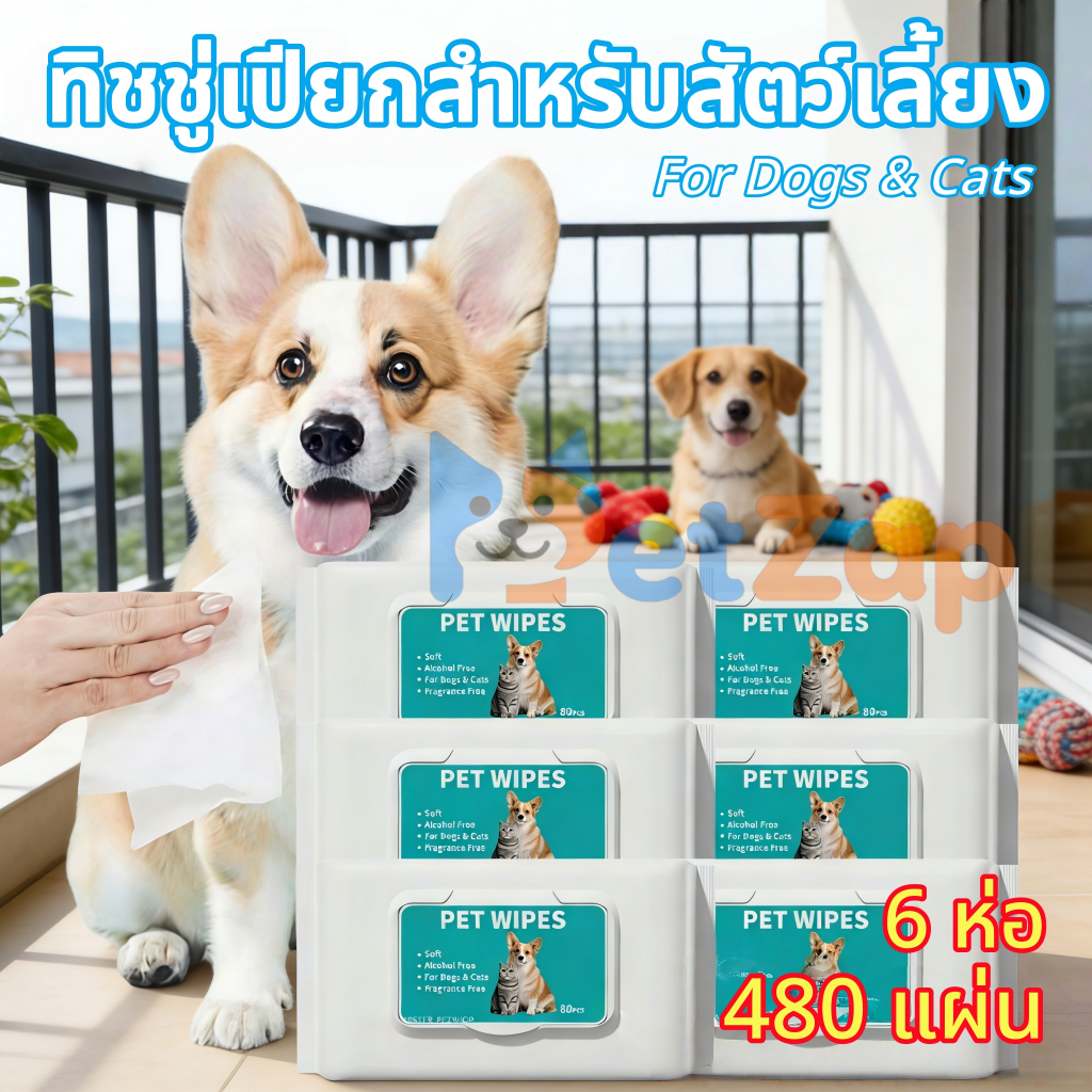 【PetZap】COD พร้อมส่ง ผ้าเปียกสัตว์เลี้ยง ทิชชู่เปียกสุนัข ทิชชู่เปียกแมว ขจัดกลิ่นปัสสาวะ เช็ดคราบน้ำตา เช็ดตา 80แผ่น