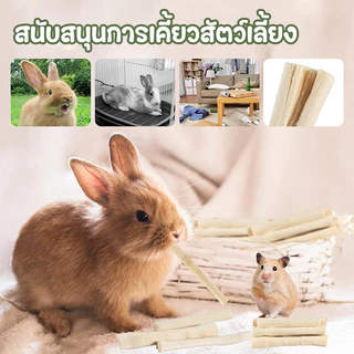 PETLUSCI® ไม้ไผ่หวาน 500g ขนมลับฟัน ธรรมชาติ สำหรับ กระต่าย เม่นแคระ หนูแฮมเตอร์ และสัตว์ฟันแทะอื่น