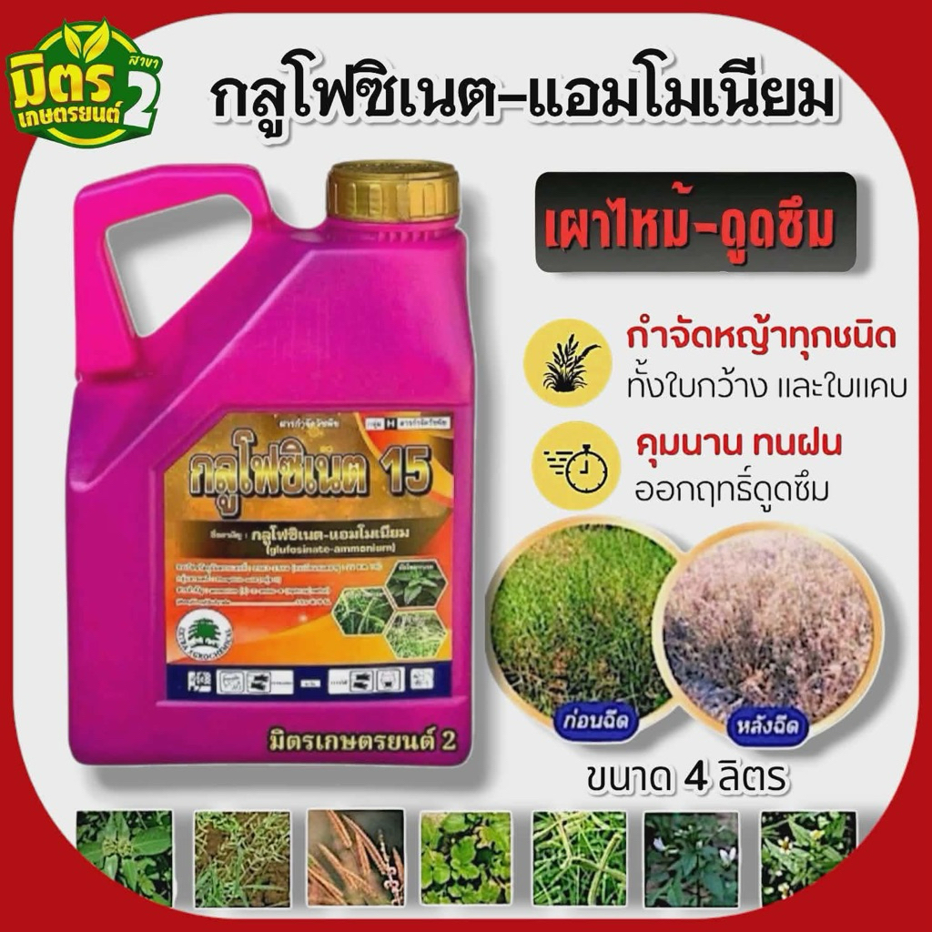 กลูโฟซิเนต-แอมโมเนียม 4ลิตร สารกำจัดวัชพืชหลังงอกแบบไม่เลือกทำลายกำจัดวัชพืชได้ทั้ง สัมผัสและดูดซึม