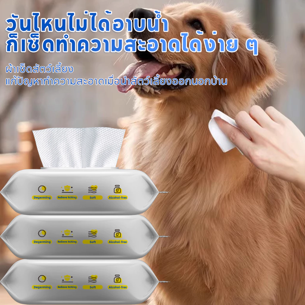 Pet Record ผ้าเช็ดทำความสะอาดสัตว์เลี้ยง 80 แผ่น thumbnail 9