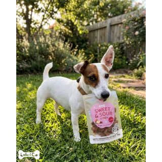 Sweet & Sour Crisps บิสกิตแอปเปิ้ล มังสวิรัติ ขนมสุนัข วีแกน Lulu & Co Dehydrated Dog Treat