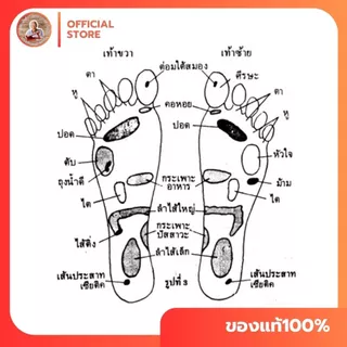 🎉เซ็ท3 ชิ้น เก้าอี้มหัศจรรย์ , เคียวนวดแก้ปวดสะบัก, นวดฝ่าเท้าสปริง >> ได้ทั้ง3 ชิ้น #แถมคู่มือ
