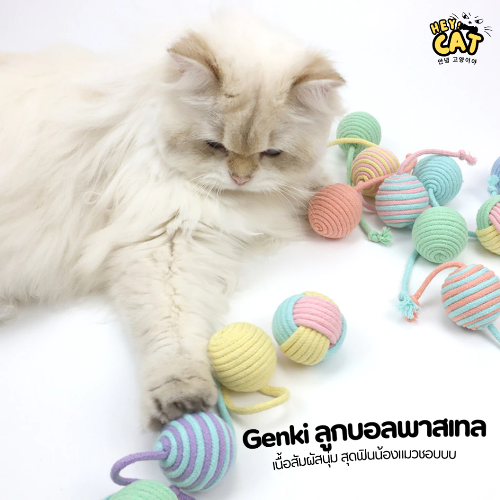 Genki ลูกบอลพาสเทล ลูกบอลแมว ของเล่นแมว เนื้อสัมผัสนุ่ม ขนาด 5 Cm. By Heycat