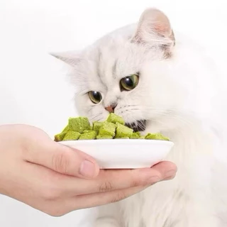 หญ้าแมว ฟรีซดราย Pawtique 1 กิโลกรัม ขนมแมว Cat Freeze Dried 100% อกไก่แมว ขนมฟรีซดรายแมว 1kg