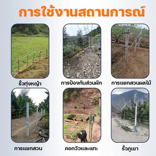 🔥รับประกัน 50ปี+🔥รั้วถักปม รั้วตาข่ายแรงดึง ยาว50m ไม่เกิดสนิม ลวดตาข่ายถักปม ลวดล้อมคอกม้า วัว แพะ ตาข่าย