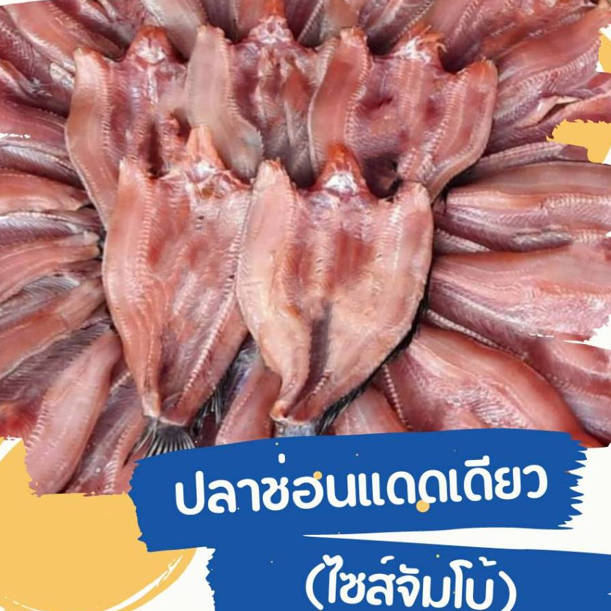 ปลาช่อนแดดเดียว ปลาช่อนผ่าหลัง ออร์แกนิก เป็นธรรมชาติ แพ็ค