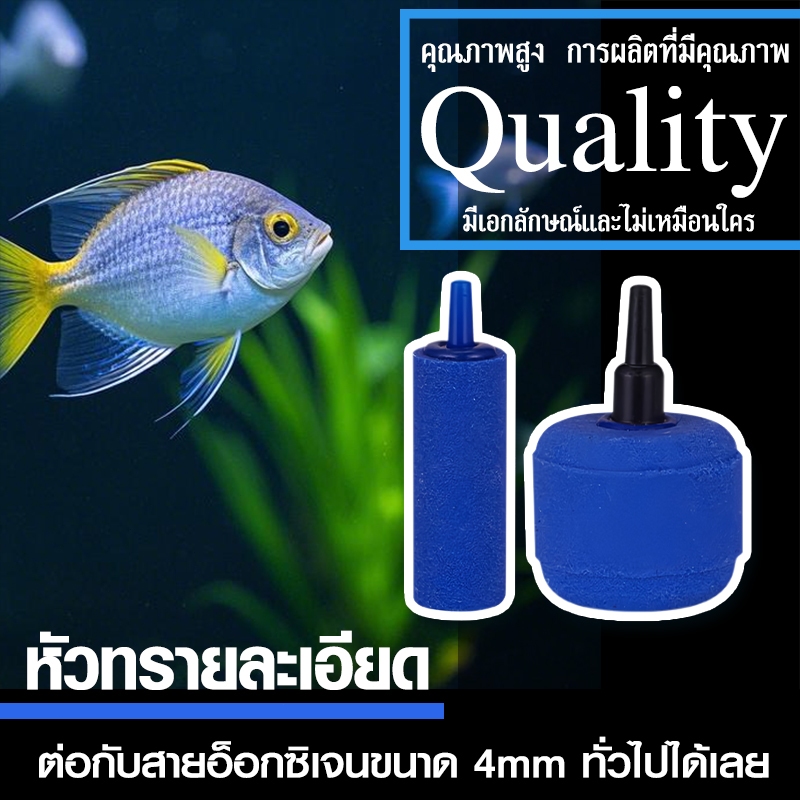 หัวทราย หัวออกซิเจน เพิ่มออกซิเจนในตู้ปลา หัวทรายละเอียด แบบคละสี มี 5 หัวทรายละเอียด Air Stone เบอร์ A001-A011