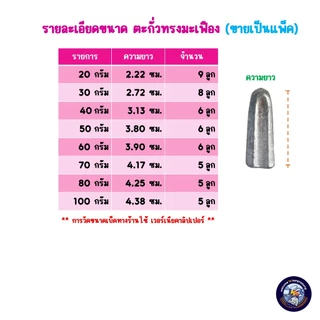 ตะกั่วตกปลา ตะกั่วทรงจรวด ตะกั่วทรงมะเฟือง (ขนาด 5g.-100g.) ตะกั่วตกปลาหน้าดิน ตะกั่วตกหน้าดิน อุปกรณ์ตกปลา