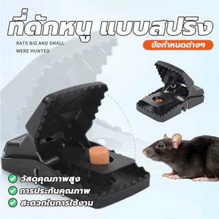 อุปกรณ์ดักหนู กับดักหนูสปริง mouse traps สารกำจัดหนู ความไวสูง ไม่ต้องสัมผัสโดนตัวหนู ไม่ใช้สารเคมี mouse traps