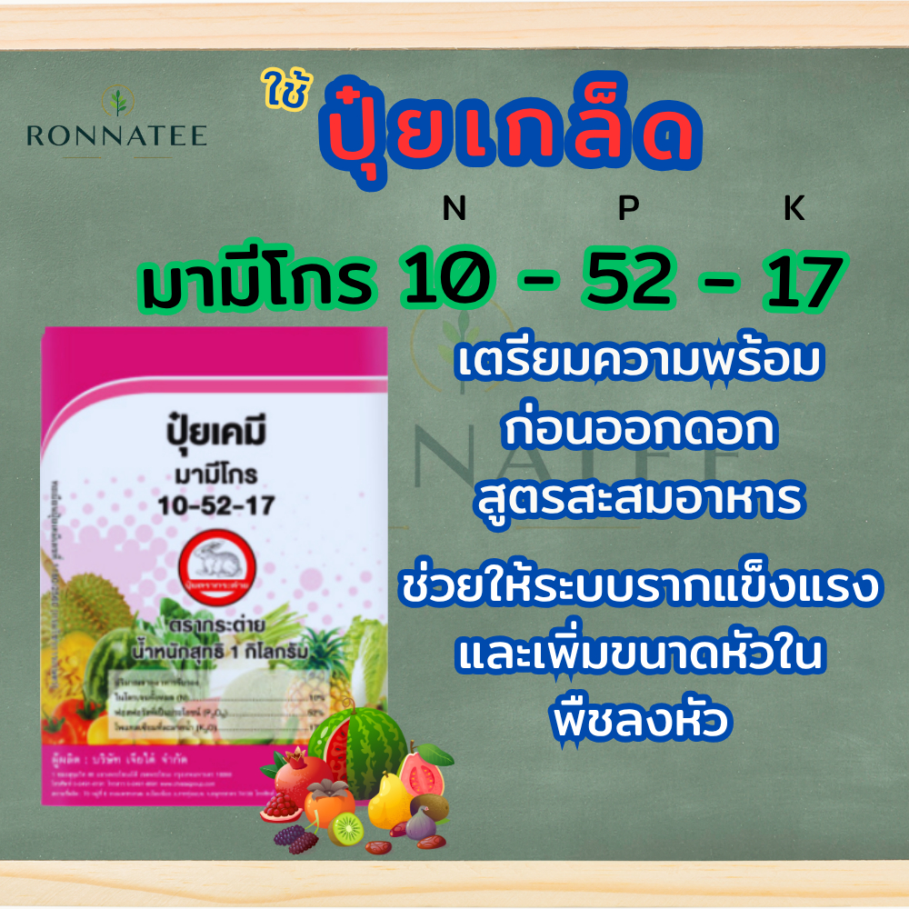 มามีโกร 10-52-17 (1 กก.) ปุ๋ยเกล็ดสะสมอาหารเข้มข้น เตรียมความพร้อมก่อนออกดอก ละลายน้ำ พืชดูดซึมไว