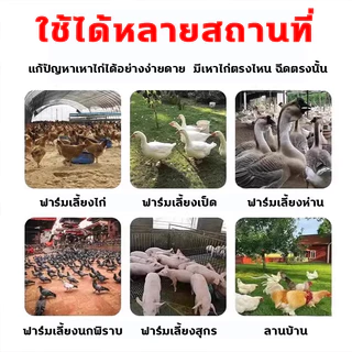 COD น้ำยาฆ่าแมลงฆ่าเชื้อคอกไก่ 2.5ลิตร กำจัดยุง ไรไก่ ฆ่าเชื้อโรค ปกป้องไก่จากแมลงรบกวนและเชื้ออันตราย