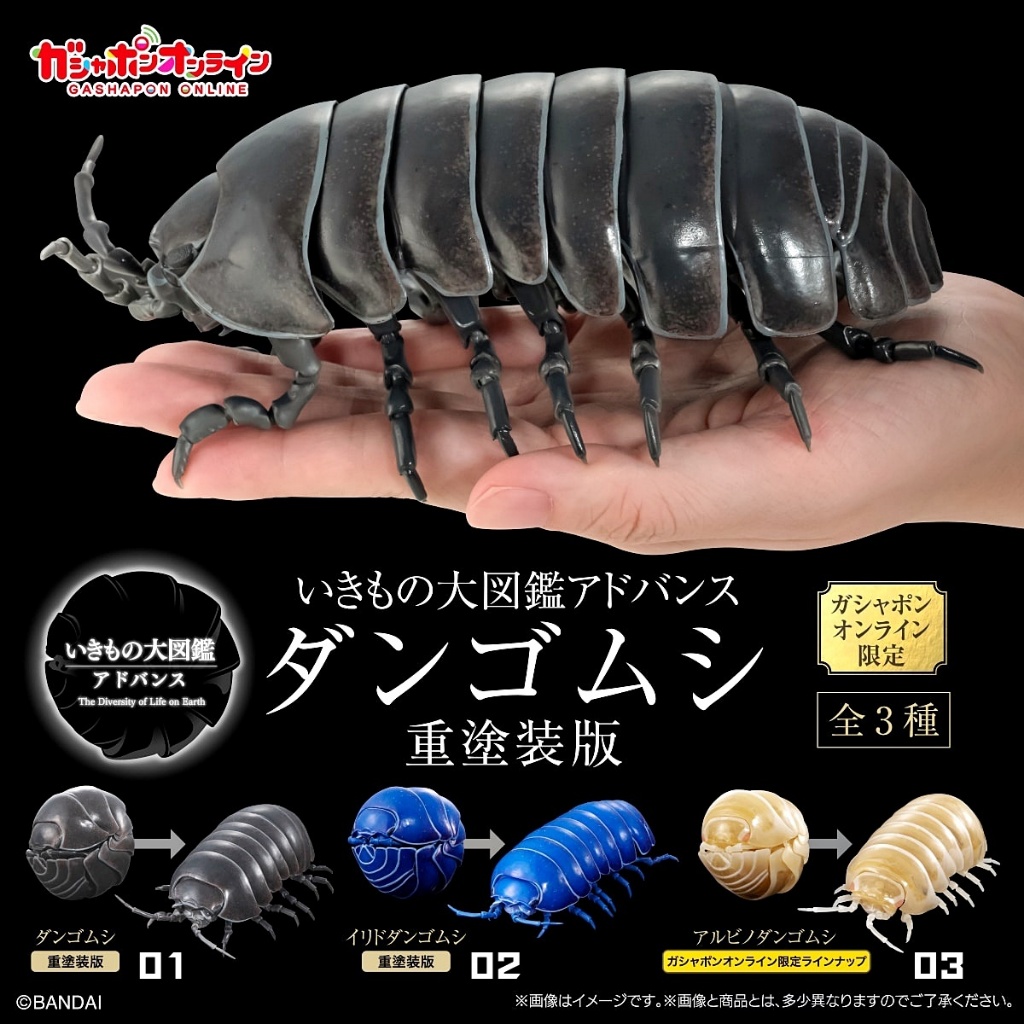 (มีของพร้อมส่ง) กาชาปองไอโซพอดพรีเมี่ยม 1000% Gashapon Bandai DANGO MUSHI 1000% Premium Vol.01 โมเดลสัตว์