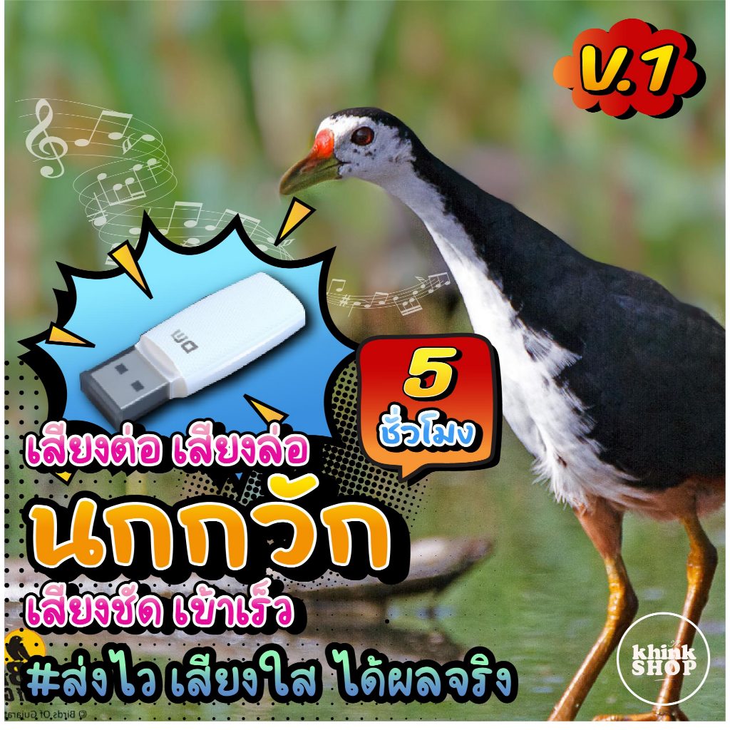 เสียงต่อนกกวัก V.1 เสียงชัด เข้าเร็ว แฟลชไดรฟ์ เมม ไม่มีโฆษณาแทรก มีเก็บเงินปลายทาง