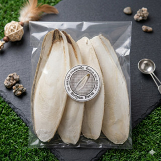 กระดองปลาหมึก กระดองหมึก ลิ้นทะเล อาหารเสริมนก แคลเซียม