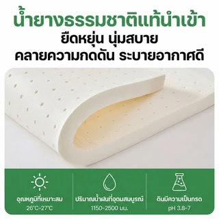 ที่นอนยางพาราพับ 3 ทบ หนา 4 นิ้ว รองรับหลัง พับเก็บได้ ประหยัดพื้นที่ เหมาะสำหรับหอพัก คอนโด COD