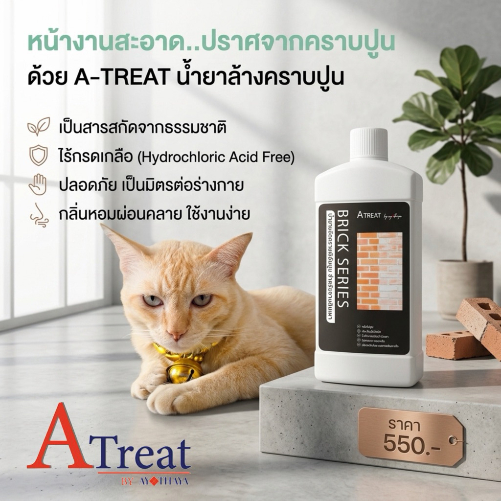 น้ำยาล้างคราบปูน A-Treat