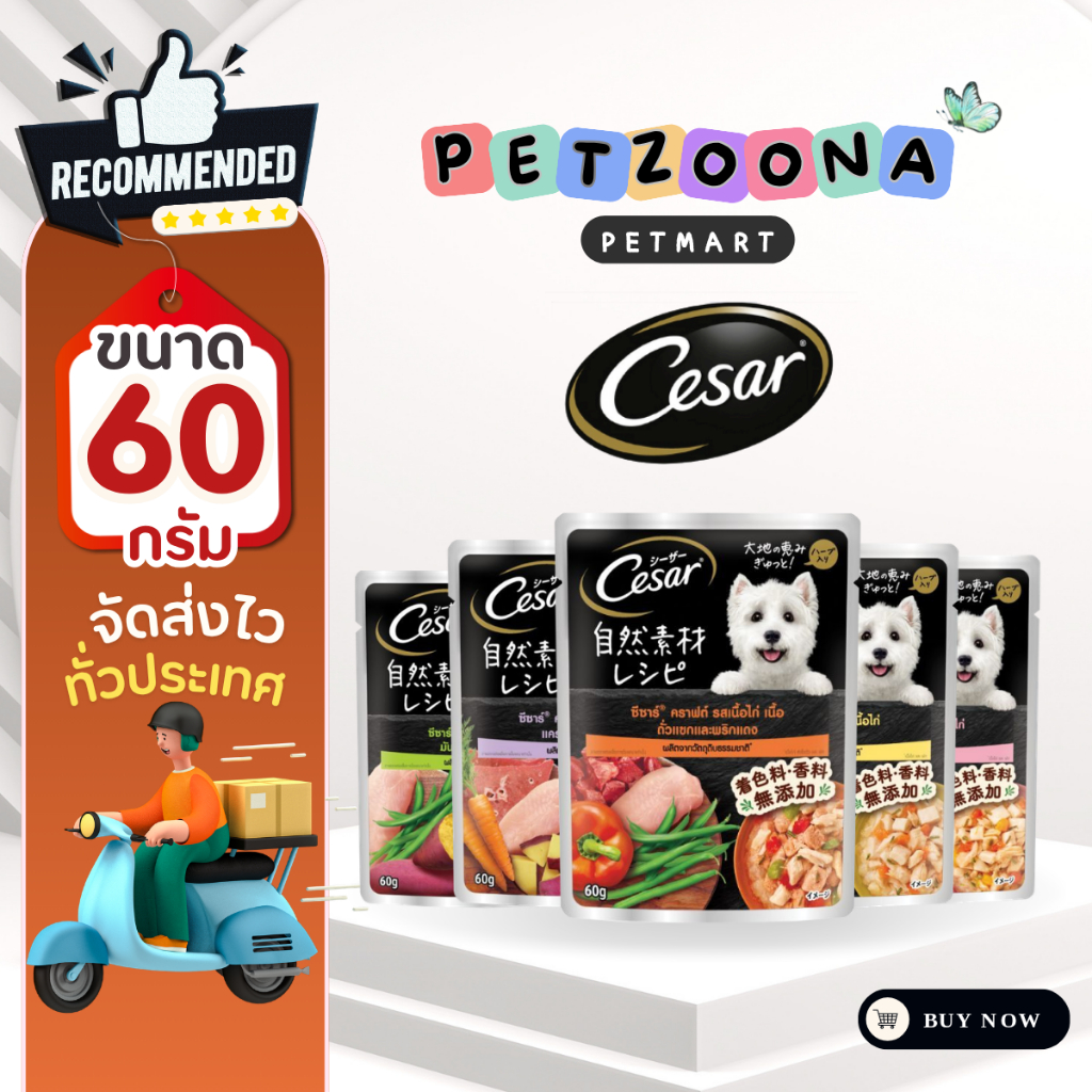 Cesar Craft คราฟต์ ​อาหารสุนัขชนิดเปียกแบบซอง ทุกรส ขนาด 60g.