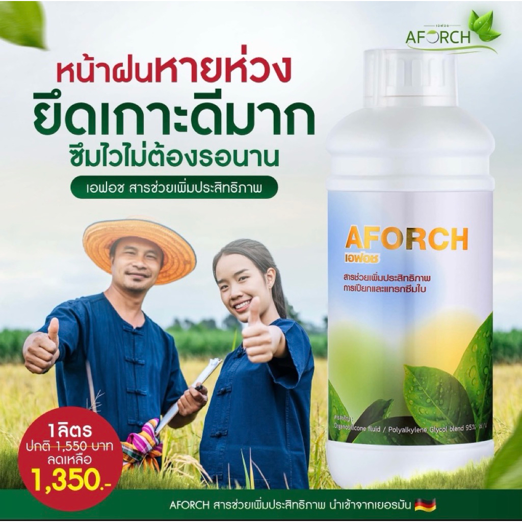 เอฟอช AFORCH สารจับใบ สารนำพา ขนาด 1,000 ซีซี ไม่ทิ้งสารตกค้าง ดูดซึมทันที ช่วยประหยัดค่าปุ๋ย ราคา ถูกที่สุด ดีลบีเคเค แกลเลอรีภาพที่ 8