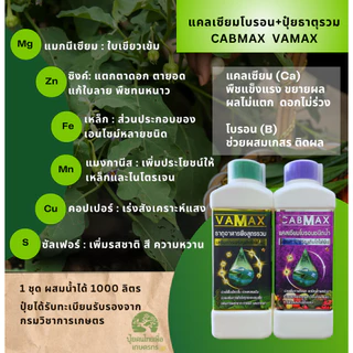 VAMAX ชุดยกลัง 6 แถม 6 ปุ๋ยธาตุอาหารรวม 7 ชนิด เสริมอะมิโน แถมฟรีเสื้อปุ๋ยแขนยาว V12