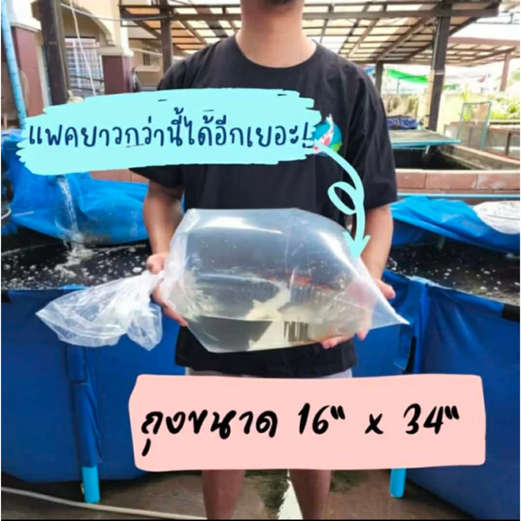 🔥ดีที่สุด 🔥 ถุงแพคปลา แพคปลาสวยงาม เนื้อหนา 0.08 mm แพคปลาใหญ่ได้ ไม่ขาดง่าย เหนียว ทน เกรด AAA หนัก 0.5 kg และ 1 kg