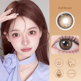 Magister & Realcon คอนแทคเลนส์ ซีรี่ส์ Blush Girl 14.2MM Brown Contact Lens 6 เดือน Gray คอนแทค คอนเทคเลนส์สายตาสั้น