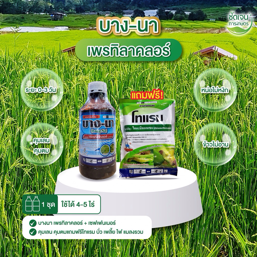บางนา(เพรทิลาคลอร์) มีเซฟเฟนเนอร์ แถมฟรีเพลี้ยไฟ หน่อไม่หงิก ข้าวไม่อาน คุมเลนคุมตม