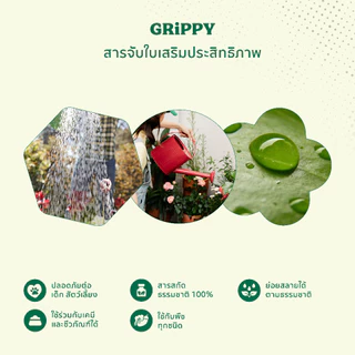 กริปปี้ (Grippy) 1 L สารจับใบสูตรออร์แกนิค ลดแรงตึงผิวใบ ช่วยการกระจายตัวได้ดีของสาร ปุ๋ยน้ำ ยากำจัดแมลง ปุ๋ยกุหลาบ SV