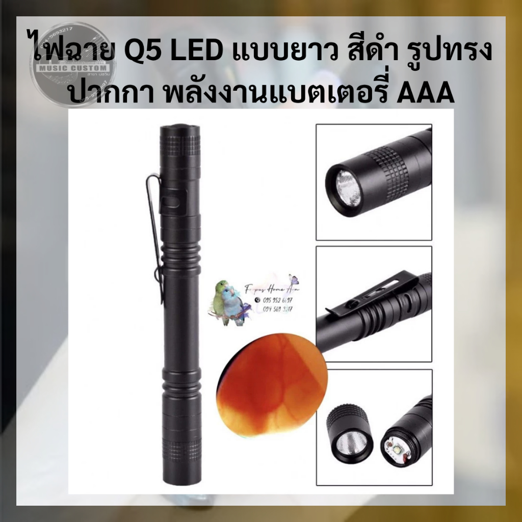 ไฟฉายส่องไข่นก ดูเชื้อ Q5 LED แบบยาว สีดำ ปกติไม่มีถ่านแต่ทางร้าน ฟรี แบตเตอรี่ AAA ให้ 2 ก้อน ราคาถูก Shopee Lazada