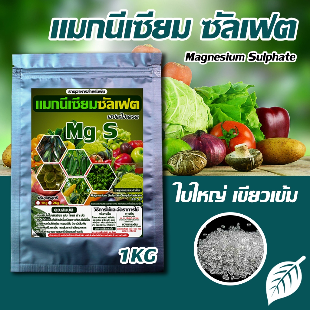 แมกนีเซียม ซัลเฟต ขนาด 1 Kg : ใบเขียว เข้ม ใหญ่ ดำ สร้างคลอโรฟิลล์ สังเคราะห์อาหารได้มากขึ้น