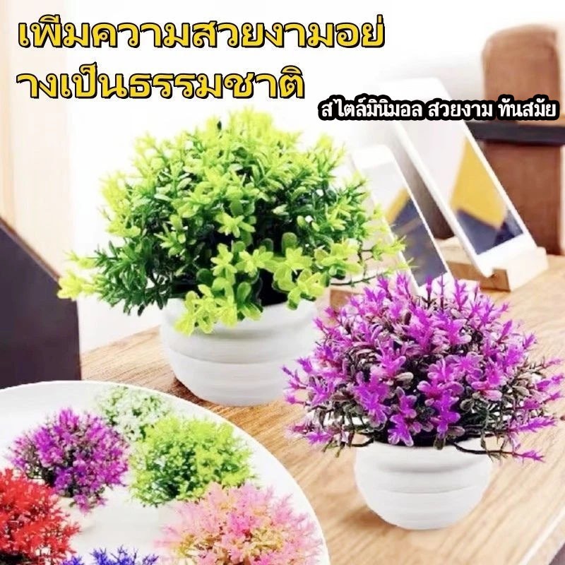 ต้นไม้ปลอม ต้นไม้ประดิษฐ์ กระถางพร้อม 11cm 4 สี ตกแต่งบ้าน สินค้าพร้อมส่ง ไม่ต้องรดน้ำ ดูแลง่าย