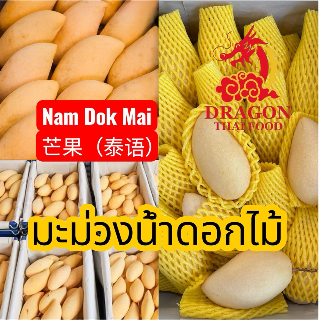มะม่วงน้ำดอกไม้สีทอง Mango Thai ส่งแบบแก่จัดบ่ม1คืน แต่ยังไม่สุก ผิวมีติดลาย ขนาด2-4ลูกโล