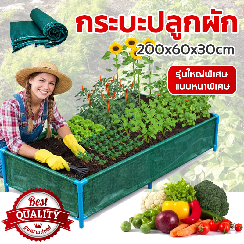 กระบะปลูกผักสวนครัว แปลงปลูกผัก ขนาด200*60*30cm ใช้ได้ทนนาน กะบะปลูกผักสำเร็จรูป พร้อมโครง PVC 1นิ้ว