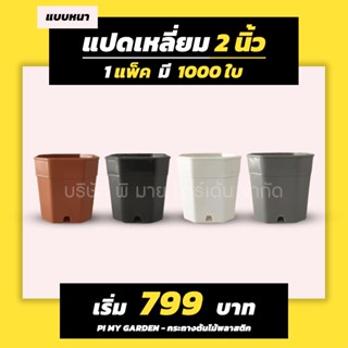 กระถางแคคตัส ทรงแปดเหลี่ยม 2 นิ้ว สีขาว สีดำ แพ็ค 1000 ใบ
