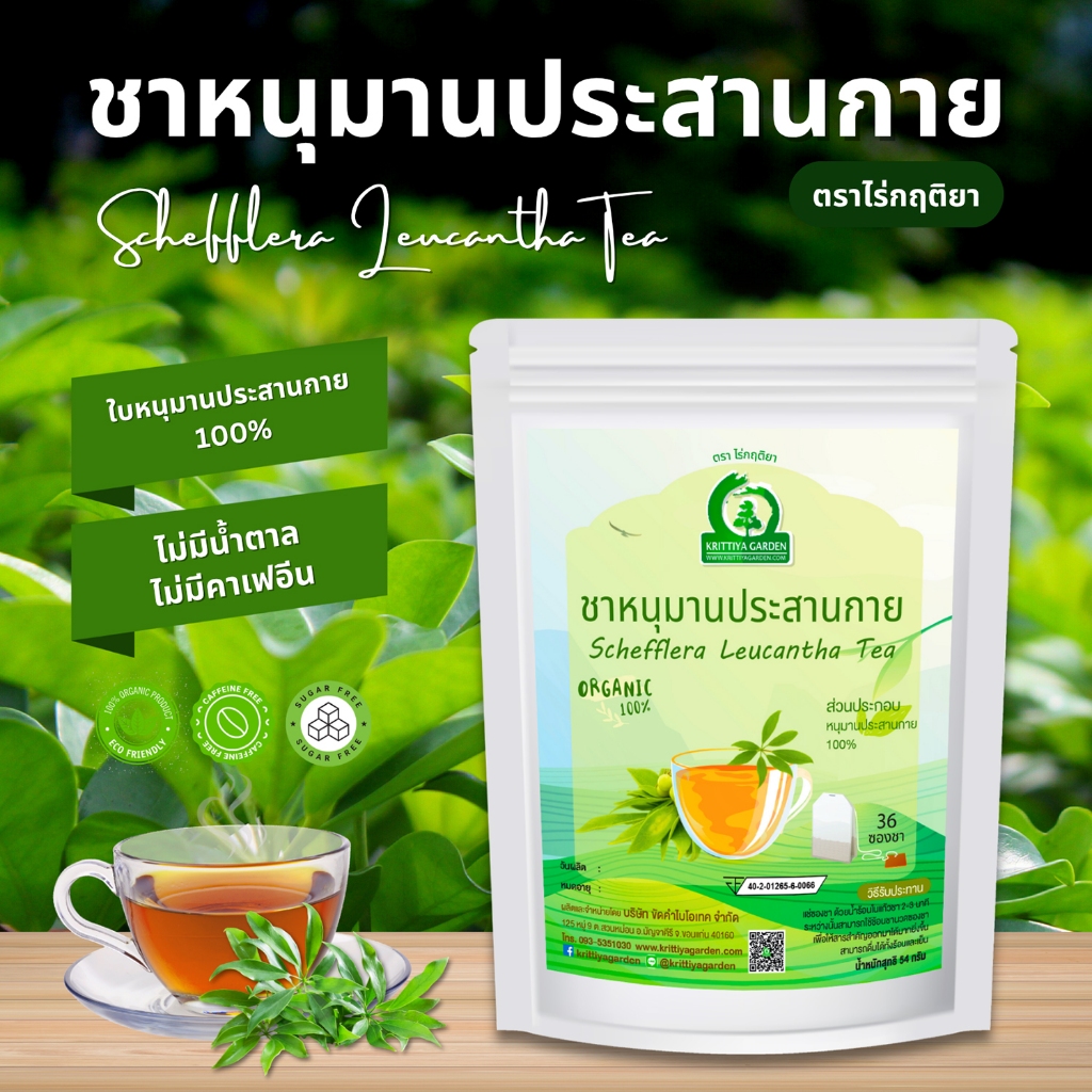 ชาหนุมานประสานกาย ตราไร่กฤติยา (Schefflera Leucantha Tea)