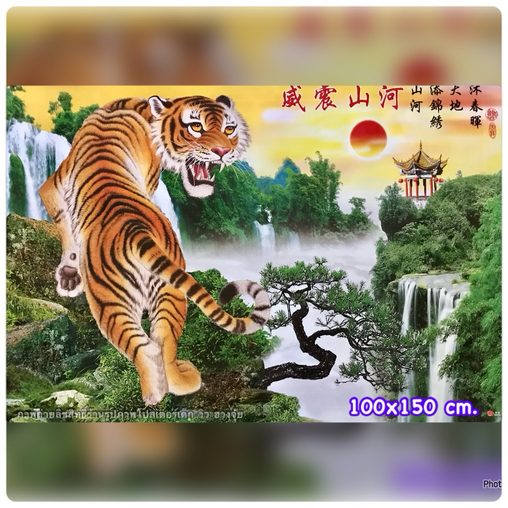 ภาพ เสือ โปสเตอร์เสือ ภาพตกแต่งผนัง สัญลักษณ์แห่งอำนาจ บารมี (มีหลายขนาด)ไม่มีกรอบรูป