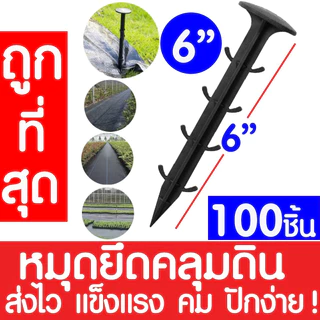 *ส่งไว* หมุดยึดผ้าคลุมวัชพืช 4/6/8นิ้ว (50/100ชิ้น) หมุดยึดผ้าคลุมดิน เหล็กเสียบคลุมดิน หมุดปักดิน สมอบก หมุดยึด ตะปู