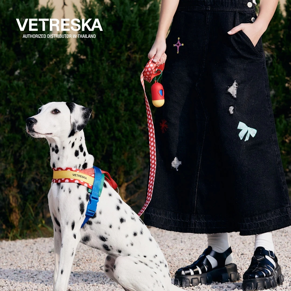 VETRESKA ชุดรัดอก สายรัดอก สุนัข Chroma Pet Harness & Leash Set - Red