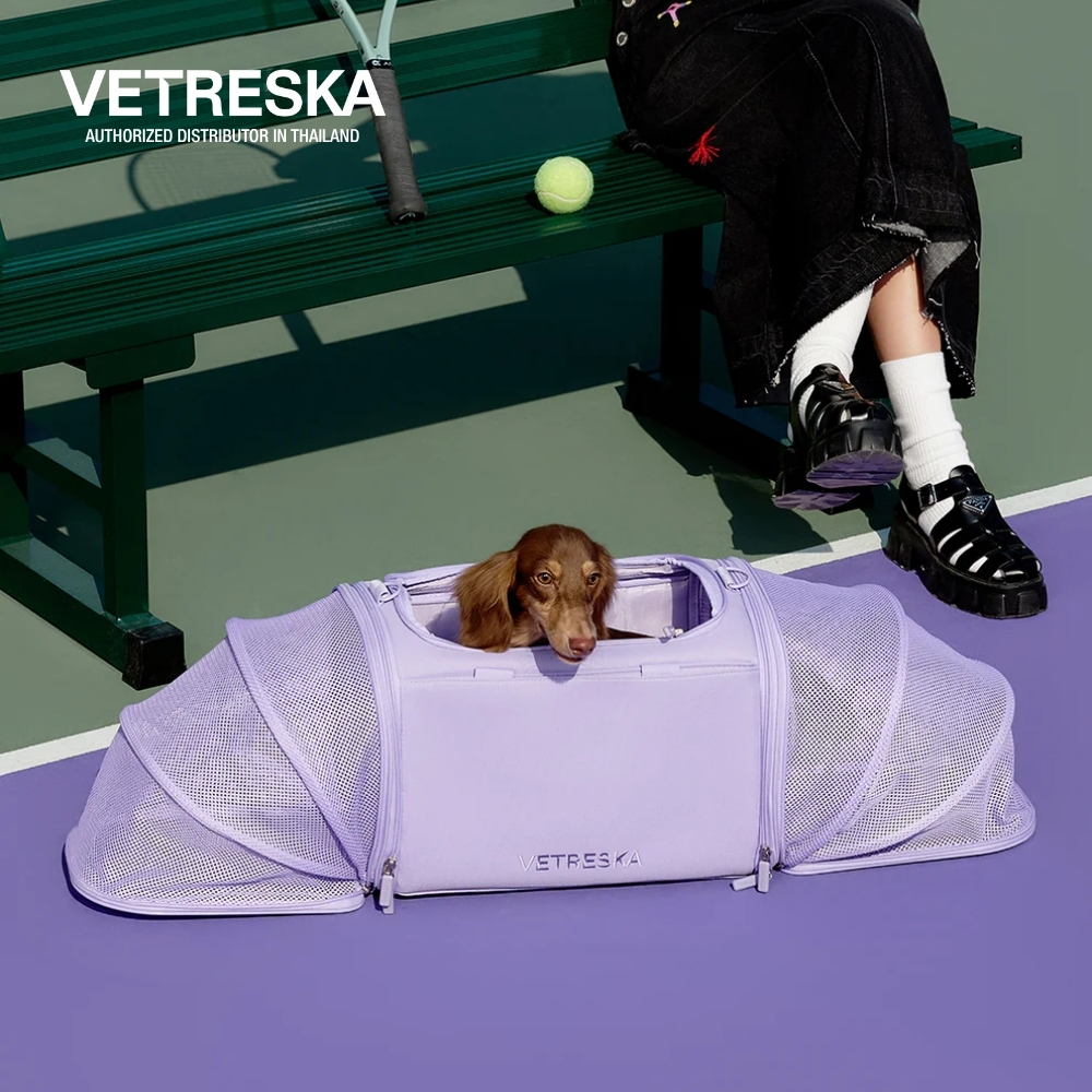 VETRESKA กระเป๋า ใส่สัตว์เลี้ยง แบบพกพา  Violet Voyage Pet Carrier