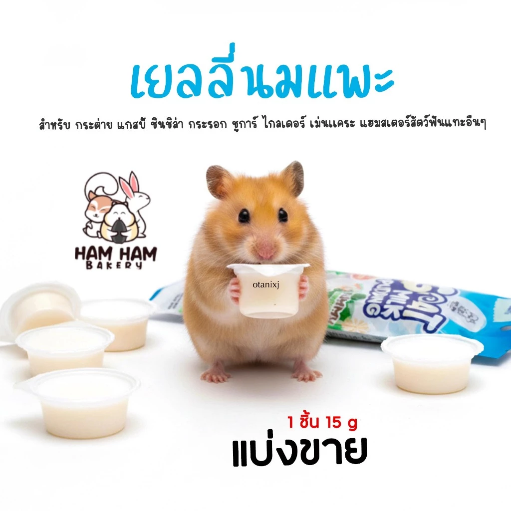 รวมรส เยลลี่ Ham Ham Bakery อาหารหนูแฮมเตอร์ ขนม กระต่าย กระรอก ชูการ์ไกรเดอร์ เม่นแคระ และ สัตว์เล็ก อื่นๆ