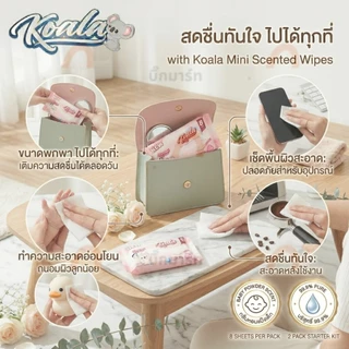 ทิชชู่อนามัยแบบเปียก Koala