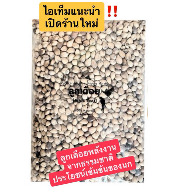 COD อาหารนก ลูกเดือย (Job's tears) ธัญพืชสำหรับนก