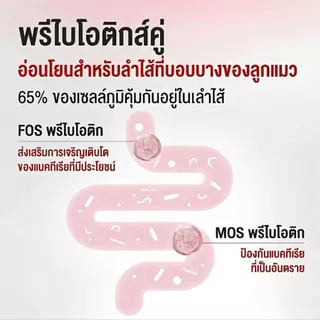 อาหารลูกแมว ชนิดเม็ด (KITTEN) อาหารเม็ด สำหรับลูกแมว อายุ 4 - 12 เดือน 400 g/1.2kg/2 kg