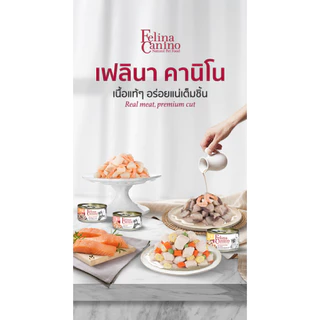 [24กระป๋อง] Felina Canino Cat อาหารแมวเปียก บรรจุกระป๋อง 70g